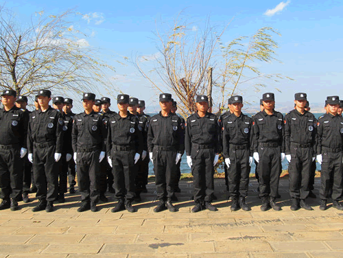 ?安徽遠(yuǎn)新自動(dòng)化推出VFFS200高速防破碎包裝機(jī)，引領(lǐng)食品與醫(yī)藥包裝新標(biāo)準(zhǔn)